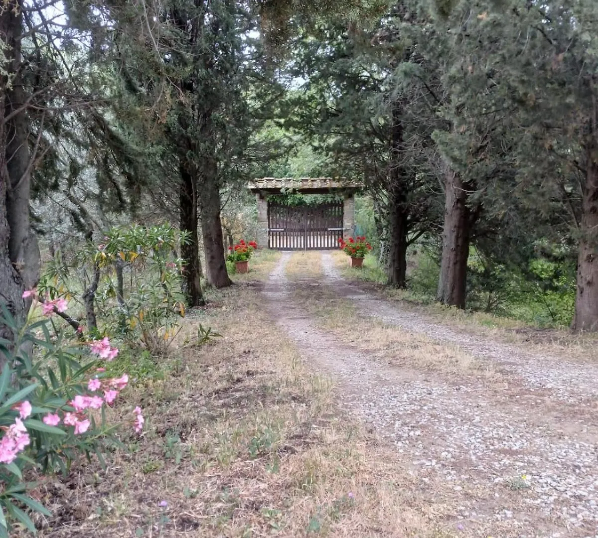 Terrazza Sul Chianti Villa Greve in Chianti