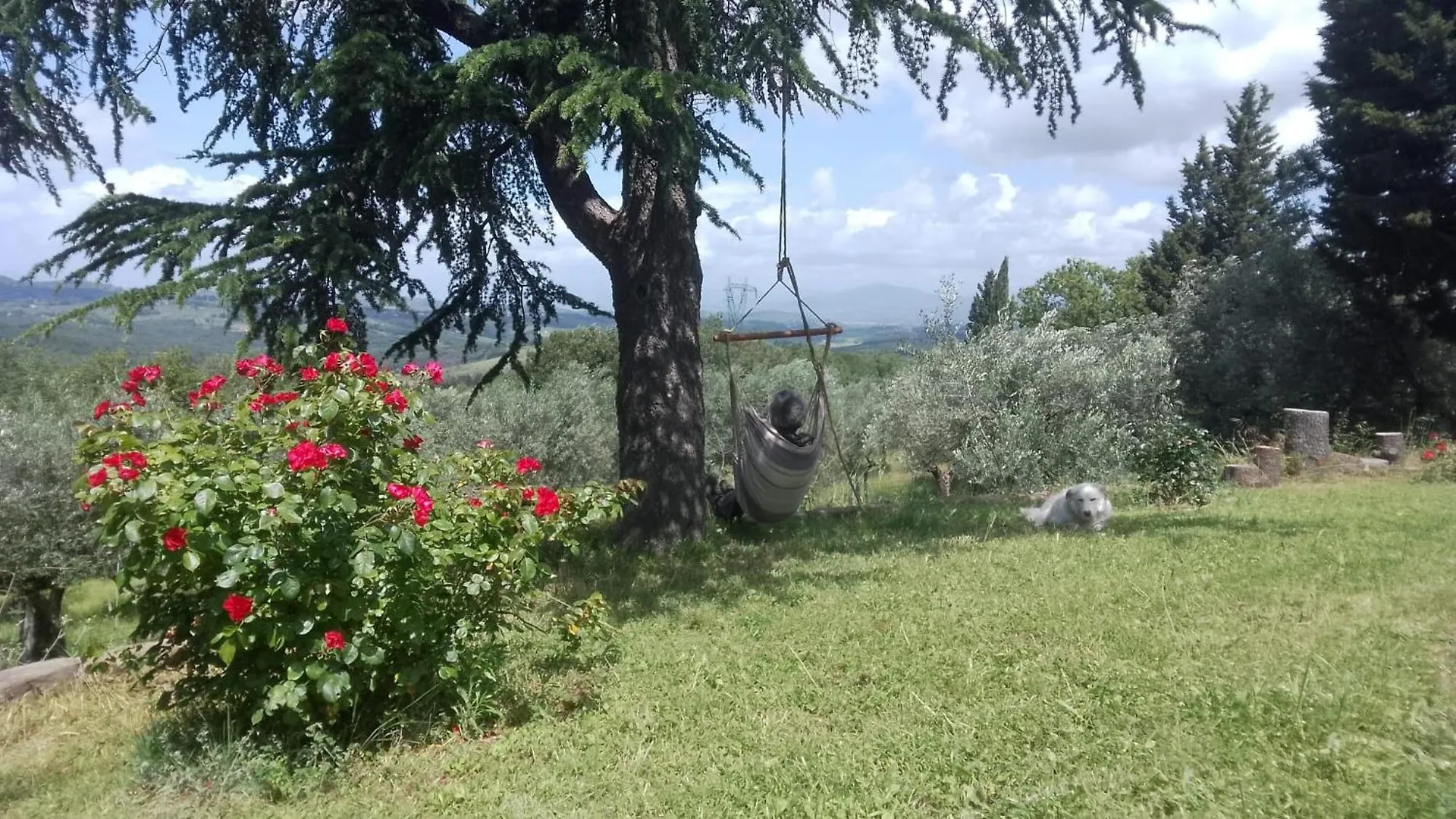 Terrazza Sul Chianti Villa Greve in Chianti