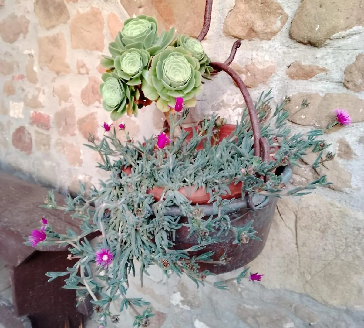 فيلة فيلا Terrazza Sul Chianti غريفي ان شنتي